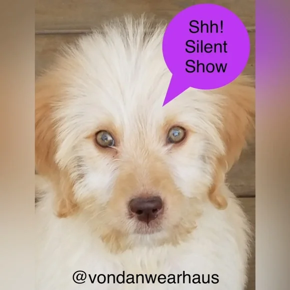 It’s a great time to have a SILENT SHOW while learning how to have a show!🤫🫣😘 - Picture 1 of 1